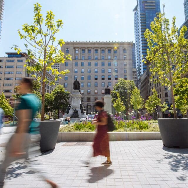 Verdissement 4 saisons de Montréal centre-ville : square Phillips