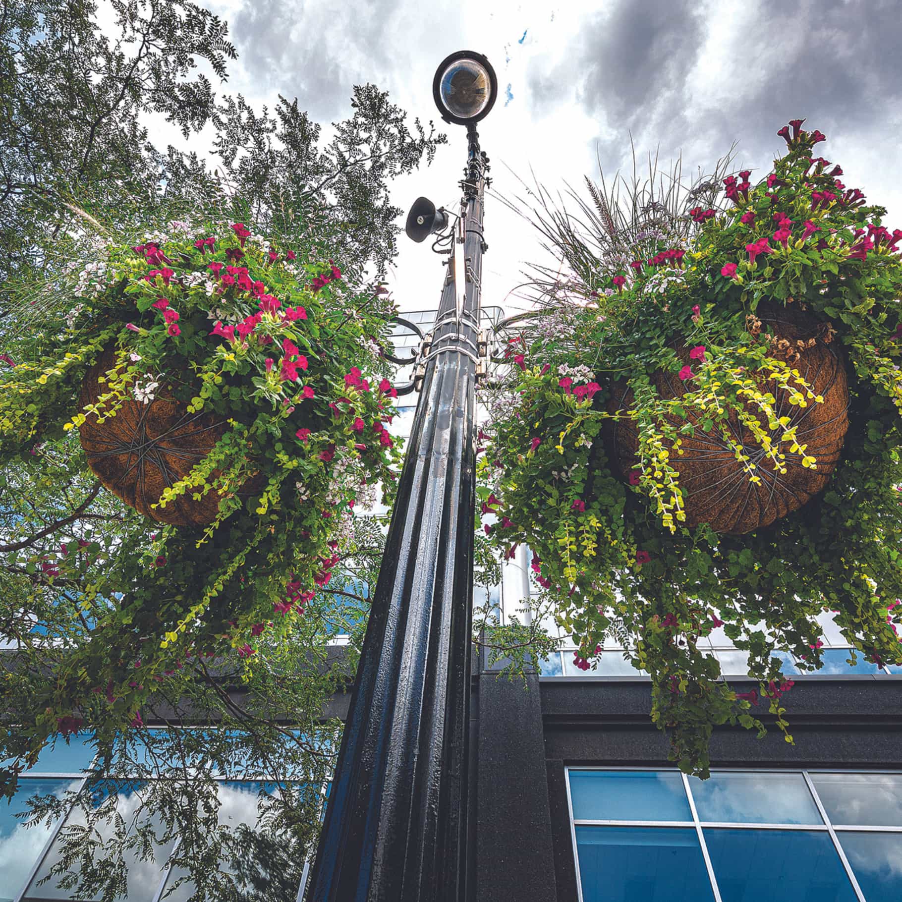 A la découverte des boutiques éco-responsables au centre-ville de Montréal