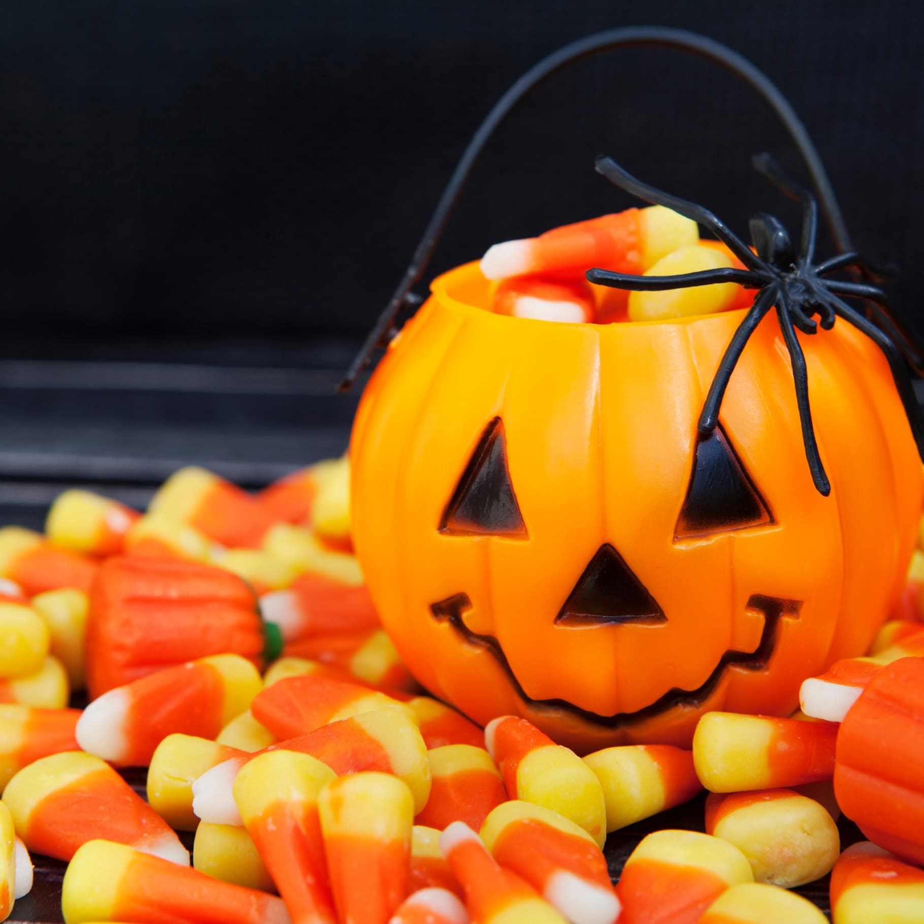Les bonbons au centre-ville de Montréal pour l'Halloween : les meilleures adresses