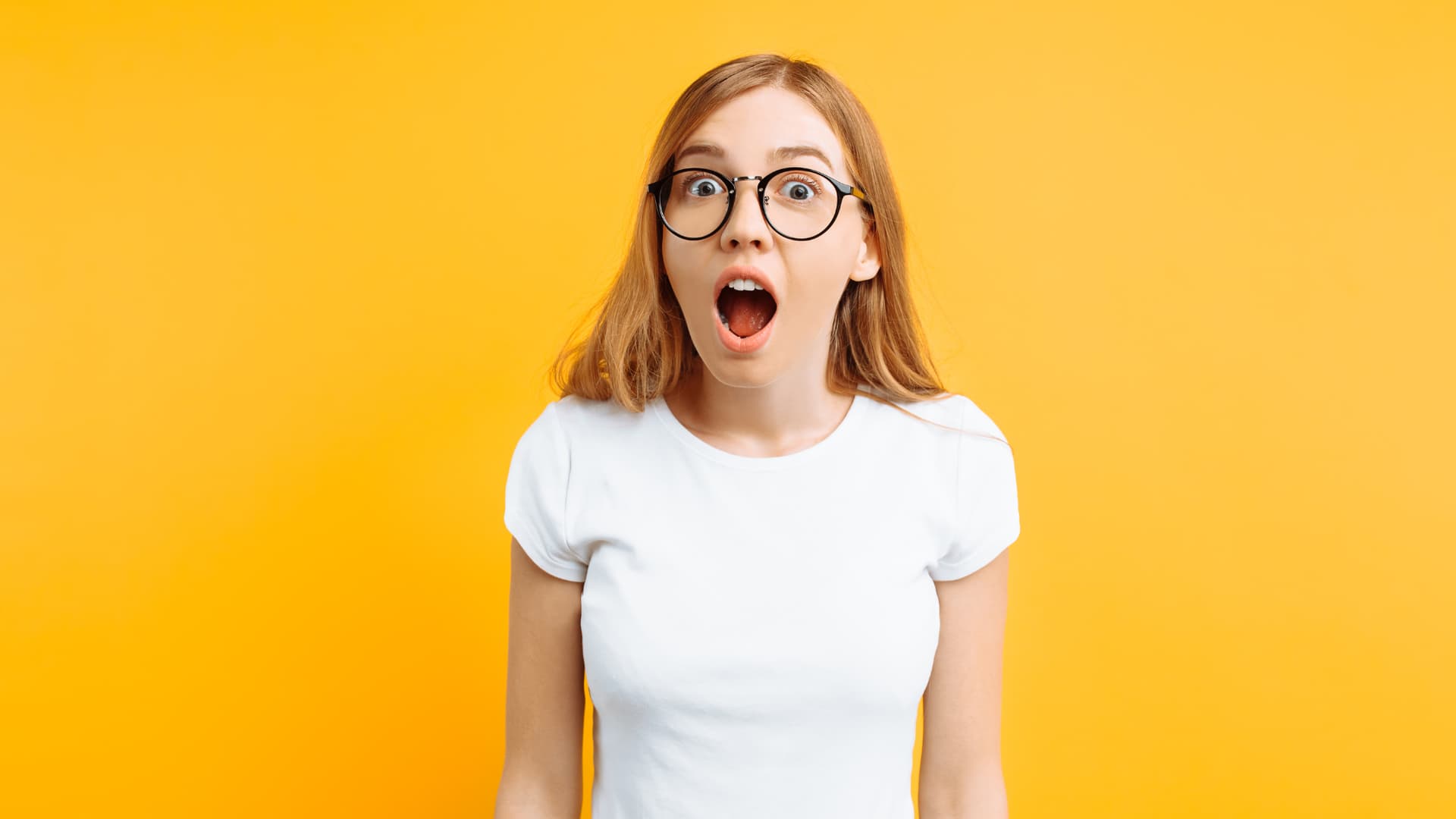 Les nouvelles entreprises installées au centre-ville de Montréal, en juin 2024