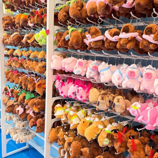 Mur de peluches colorées au Tututu space