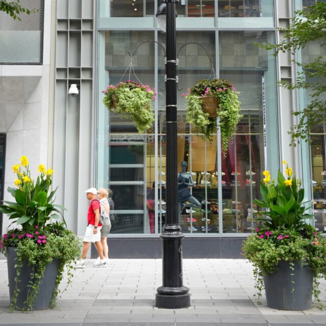 2 bacs de fleurs installés sur la rue Sainte-Catherine