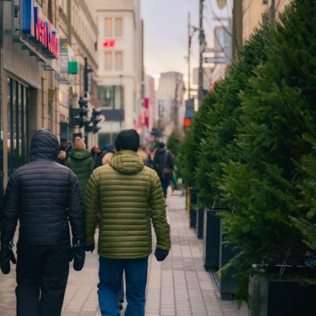 Rangée de sapins le long de la rue Sainte-Catherine Ouest