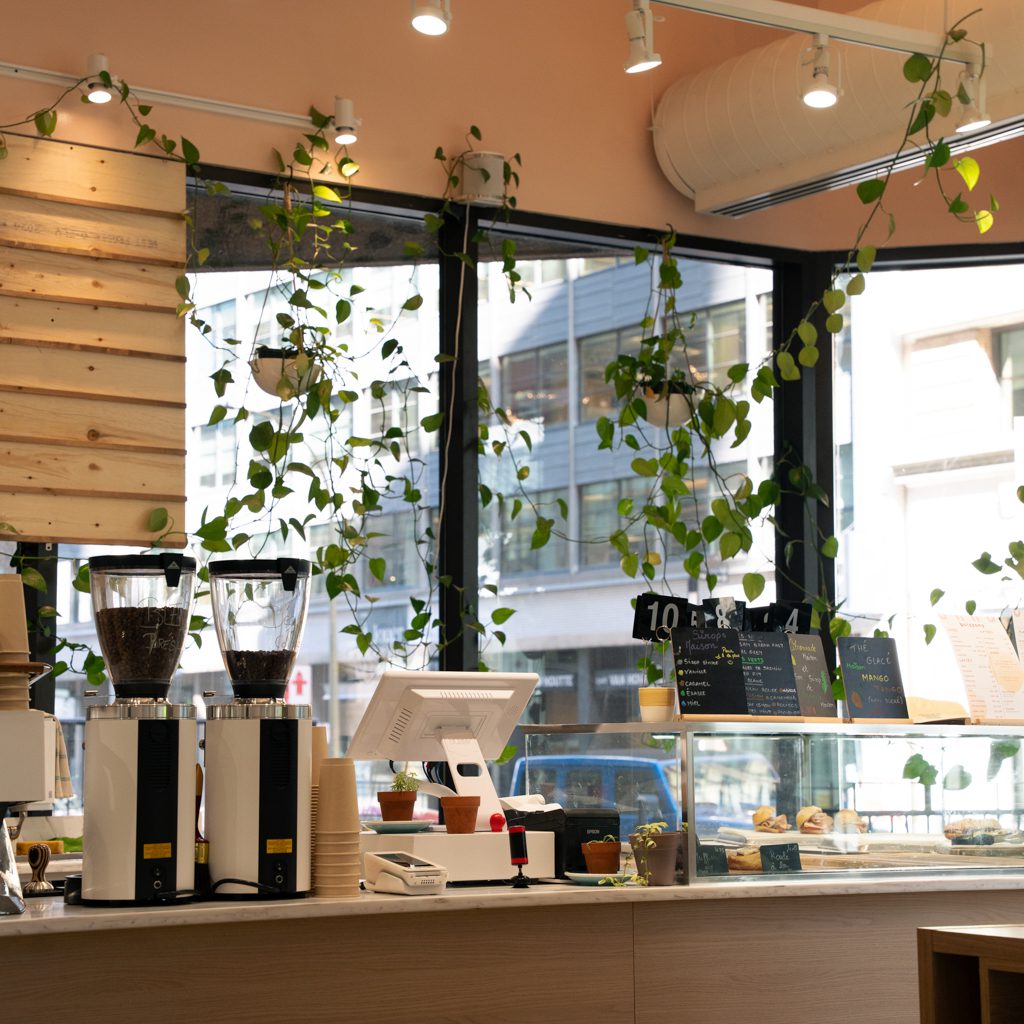 Un coin café chaleureux chez Onna Café, avec des plantes grimpantes, des machines à café et un comptoir accueillant.