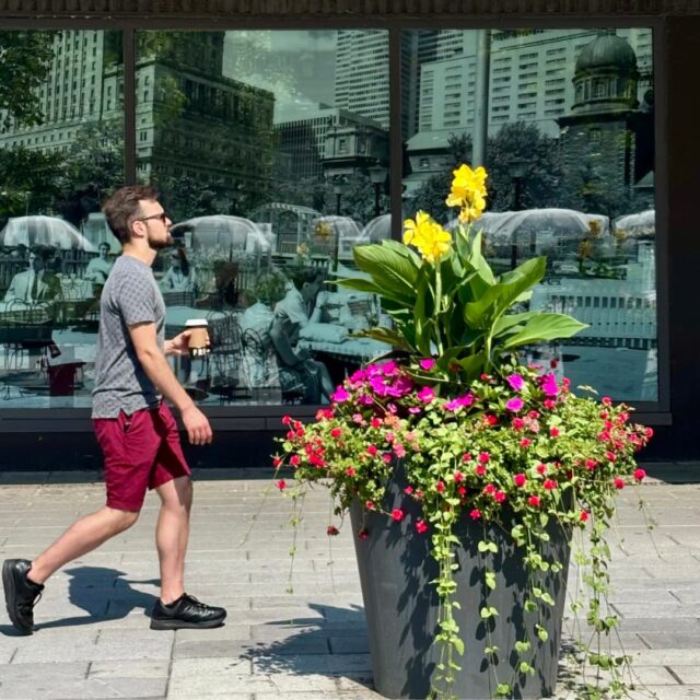 Passant marchant devant une vitrine de La Baie d'Hudson au centre-ville de Montréal
