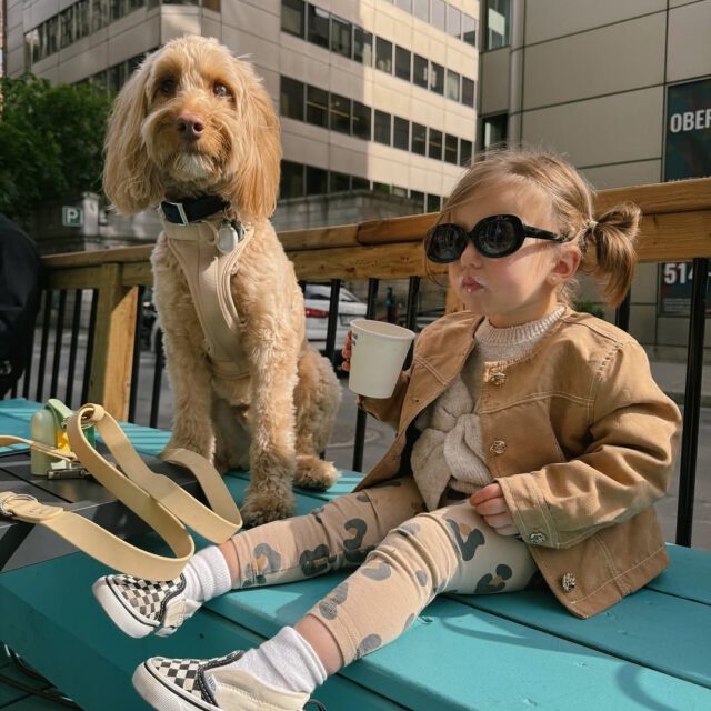 Enfant et chien assis sur la terrasse colorée de Caffettiera Bar au centre-ville de Montréal