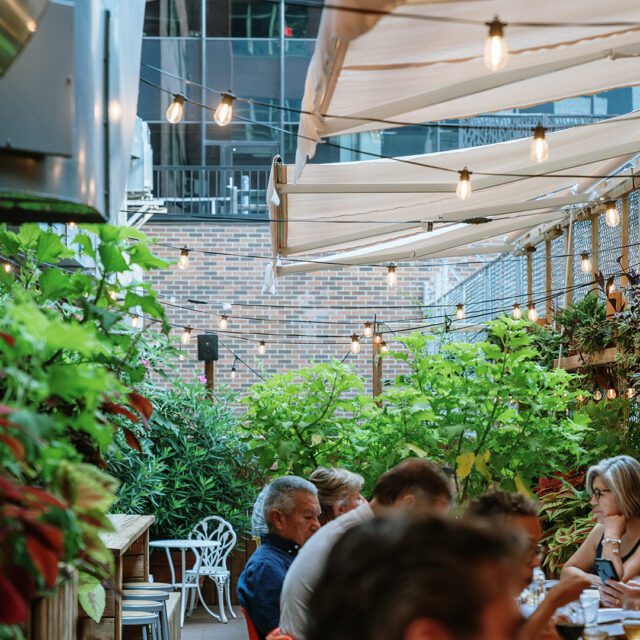 Cocktail sur la terrasse verte du restaurant Papito à Montréal.