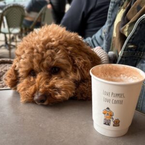 Chien posant sa tête sur table basse, à côté d'une tasse de café.